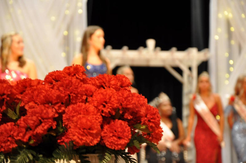 Carnation Festival- Days In The Park 2025